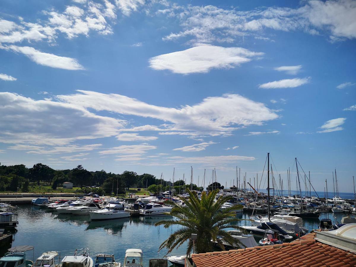 Lovely Near The With A Sea View *